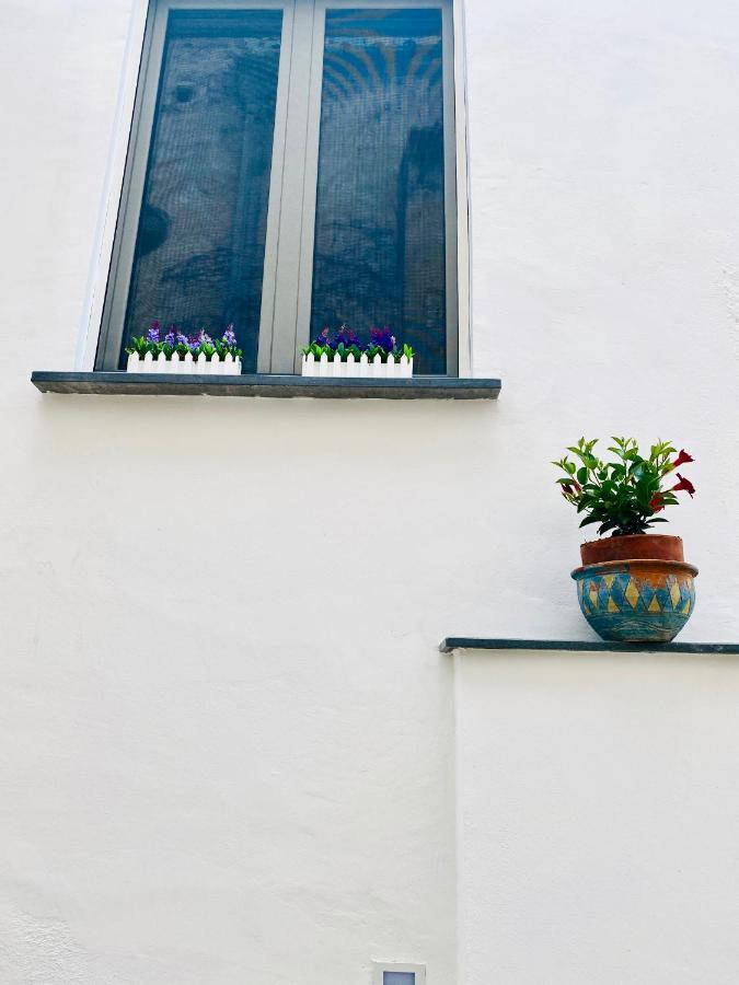 Ravello 23 Accommodation Eksteriør bilde